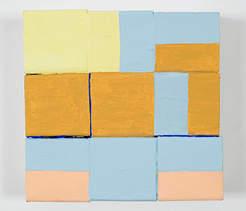 Nancy Shaver, Assortment: yellow, ochre, blue and pink, 2006 nsf0611